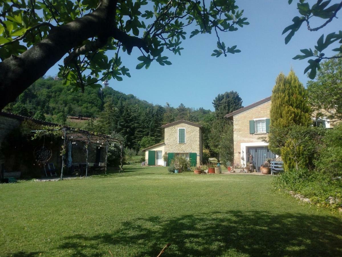 La Cana Dolce Bertinoro Bagian luar foto