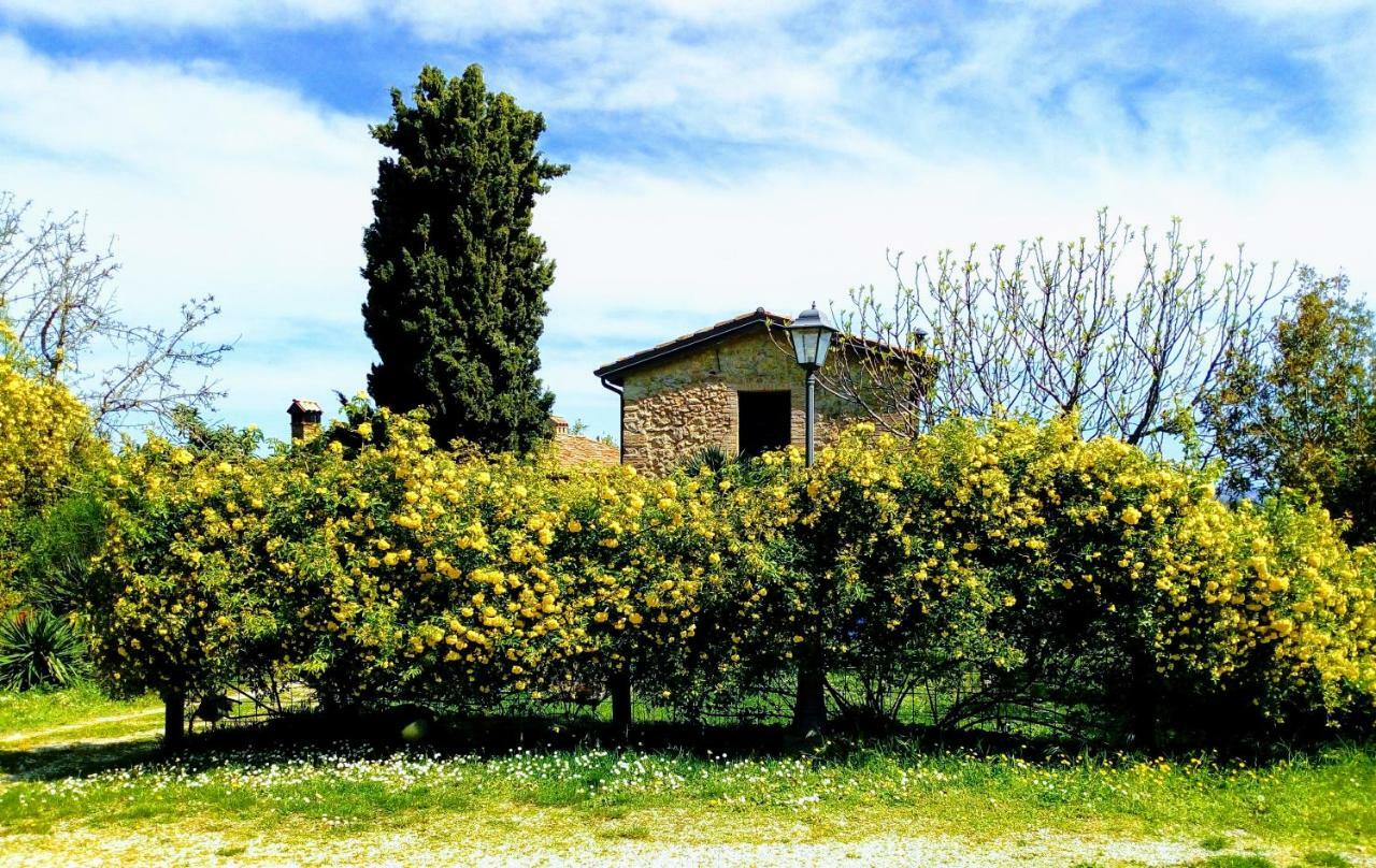 La Cana Dolce Bertinoro Bagian luar foto